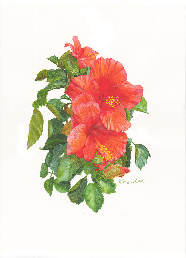 Hibiscus Painting by Ronald Wilkie