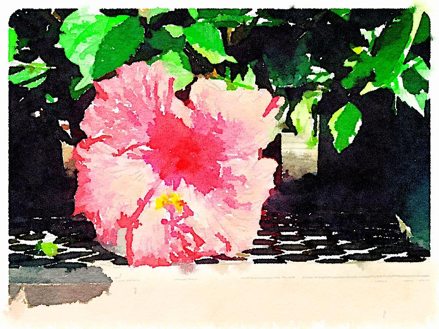 Hibiscus Digital Art by Shannon Grissom