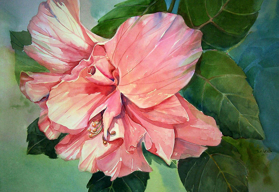 Hibiscus Painting by Sue Kemp