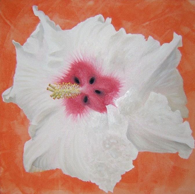 Nature Painting - Hibiscus by Wagner Chaves
