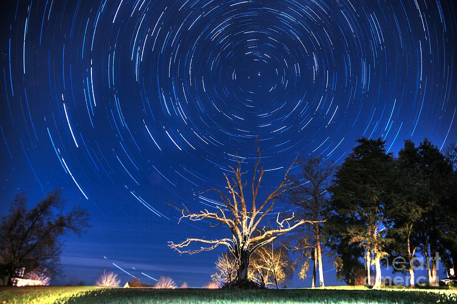Hickory Star Trail Tree Photograph by Robert Loe