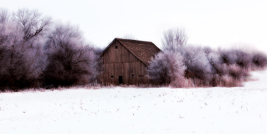 Hidden Barn Photograph by Julie Hamilton