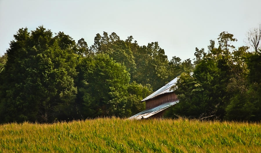 Hidden Barn on Summer Morning Photograph by Greg Jackson