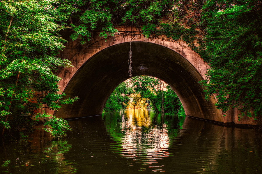 Hidden Bridge in Techniclor Photograph by Robert FERD Frank
