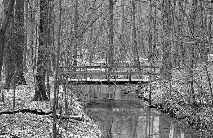 Hidden Bridge Photograph by Jackson Pearson