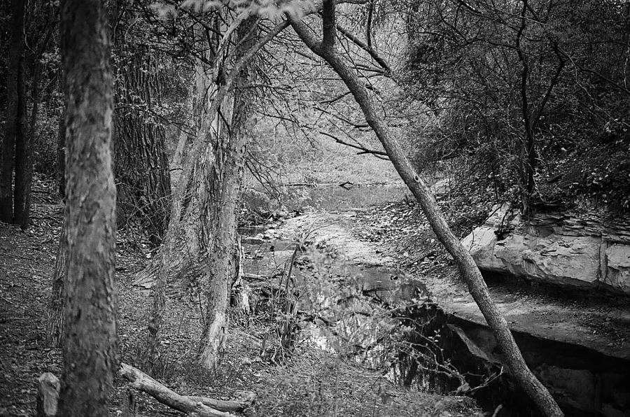 Hidden Creek Photograph by Jeff Mize