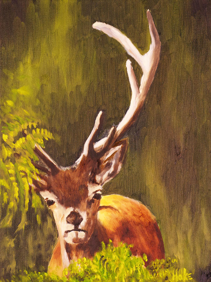 Hidden Deer Painting by Scott Hoke