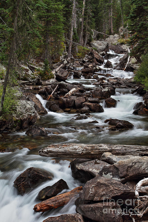 Hidden Falls Path Teton National Park Photograph by Steve Javorsky