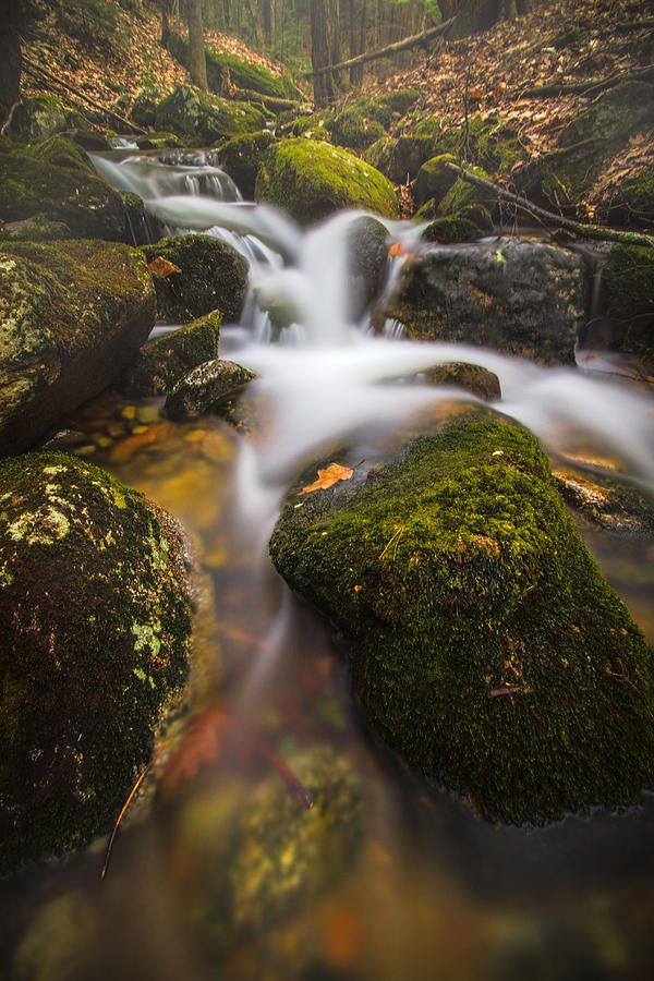 Hidden Falls Photograph by Robert Clifford