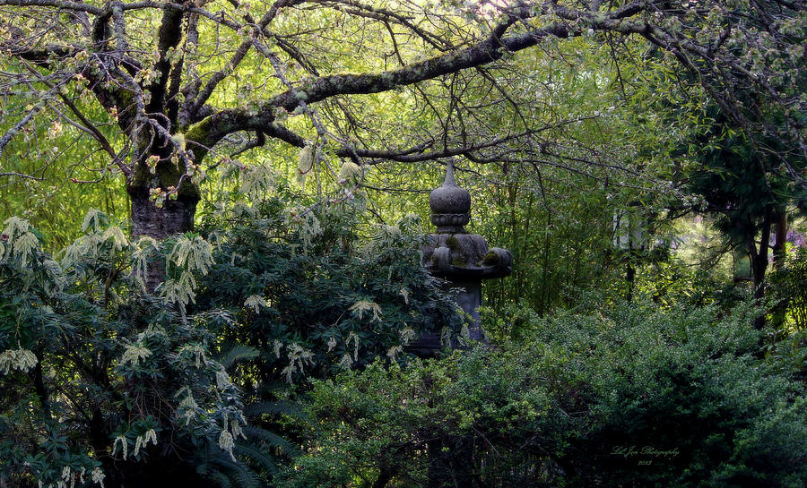 hidden city hidden object adventure + japanese garden