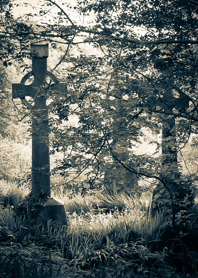 Hidden Graveyard Photograph by Ronda Broatch