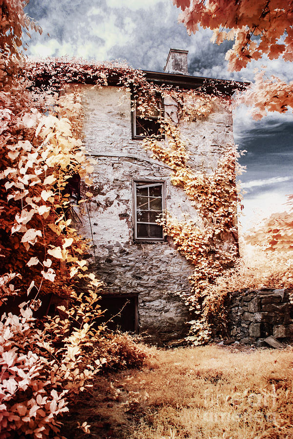 Infrared Photograph - Hidden House by Stacey Granger