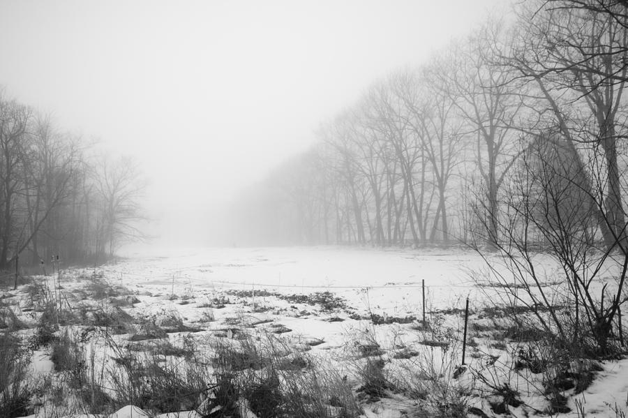 Hidden in the fog Photograph by Robert Clifford