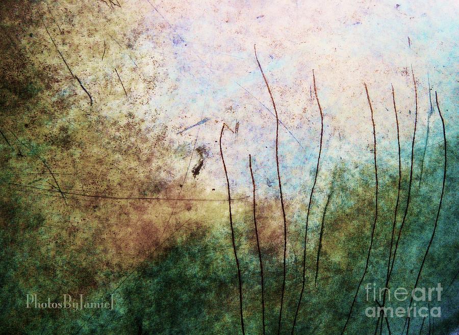 Hidden In The Reeds Photograph