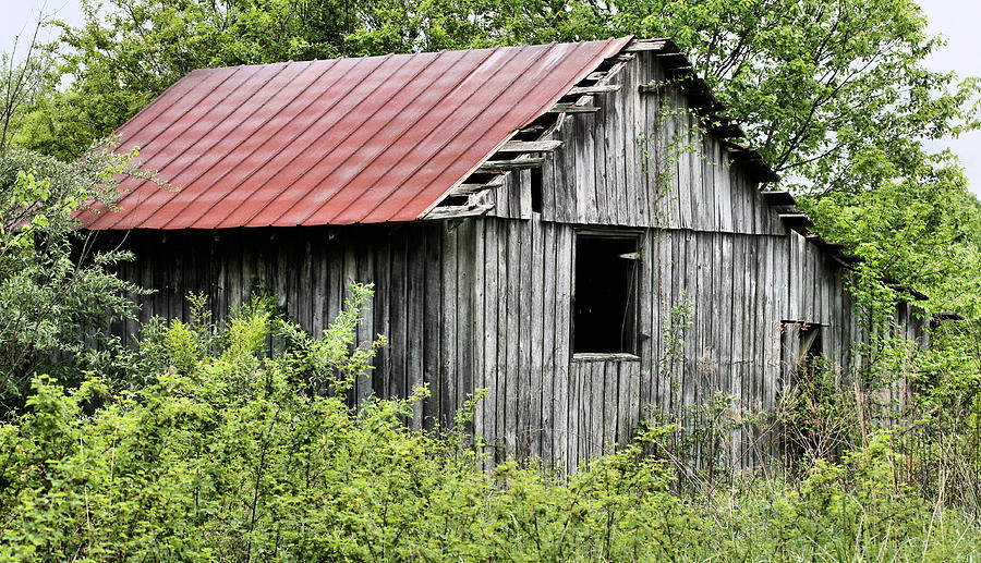 Barn Photograph - Hidden by JC Findley