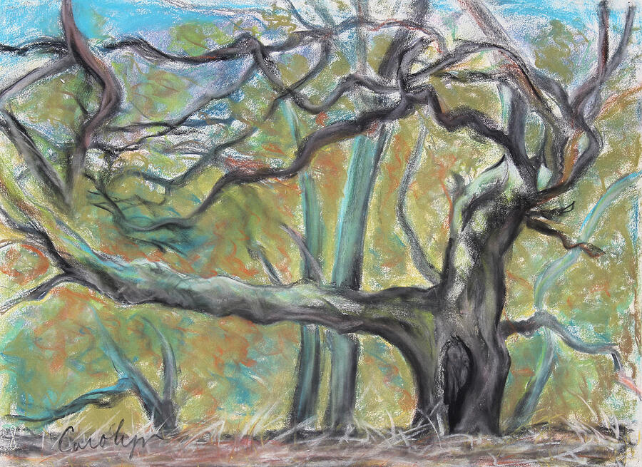 Hidden Oak and Canyon in Briones Park Pastel by Asha Carolyn Young