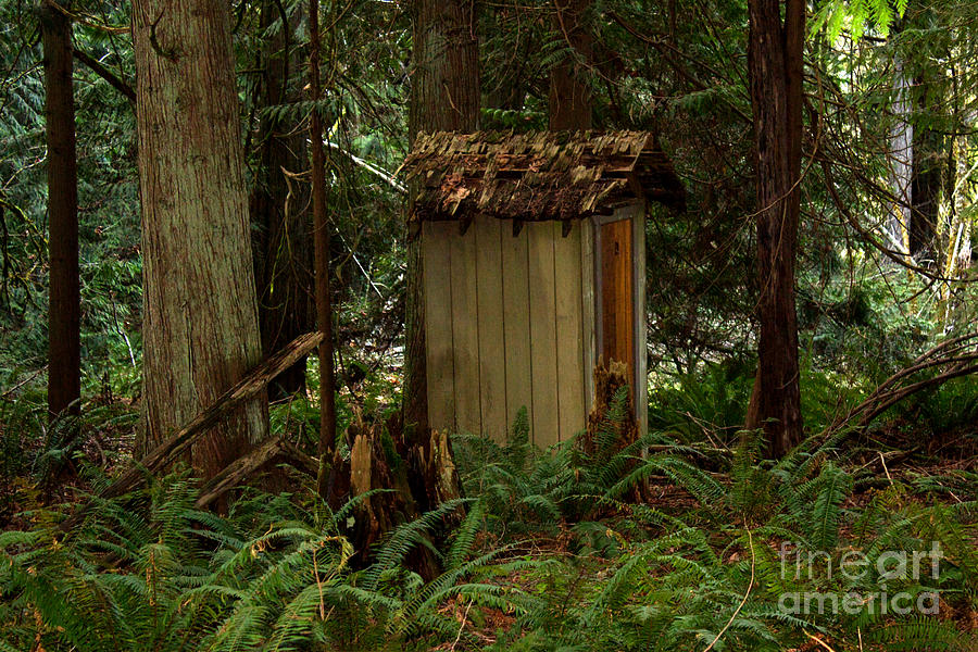 Tree Photograph - Hidden Outhouse by Deanna Proffitt