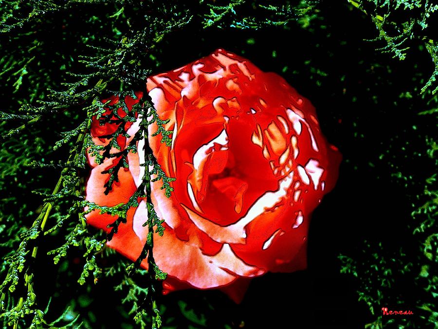 Hidden Rose Photograph by A L Sadie Reneau