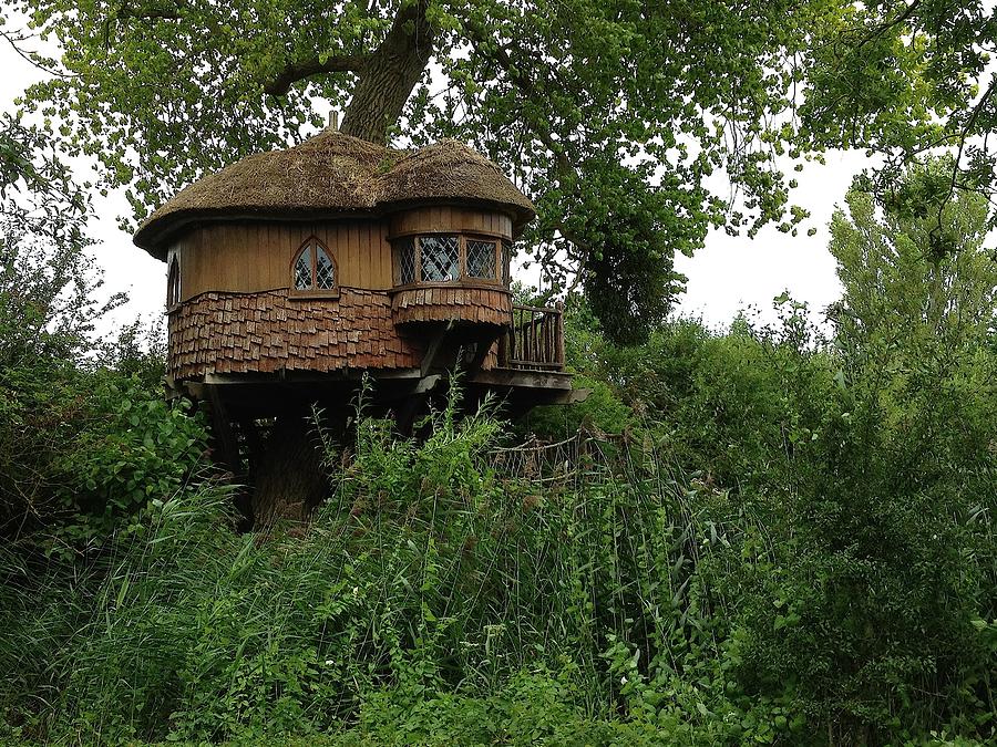 Hidden Treehouse by Nicole Parks