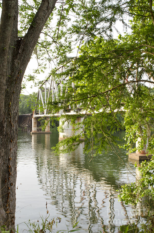 Across Photograph - Hidden Trestle by Debra Johnson Across Photograph - Hidden Trestle by Debra Johnson