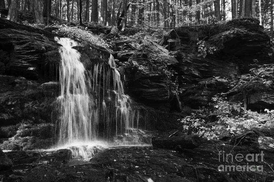Hidden Waterfall Photograph by Debra Fedchin