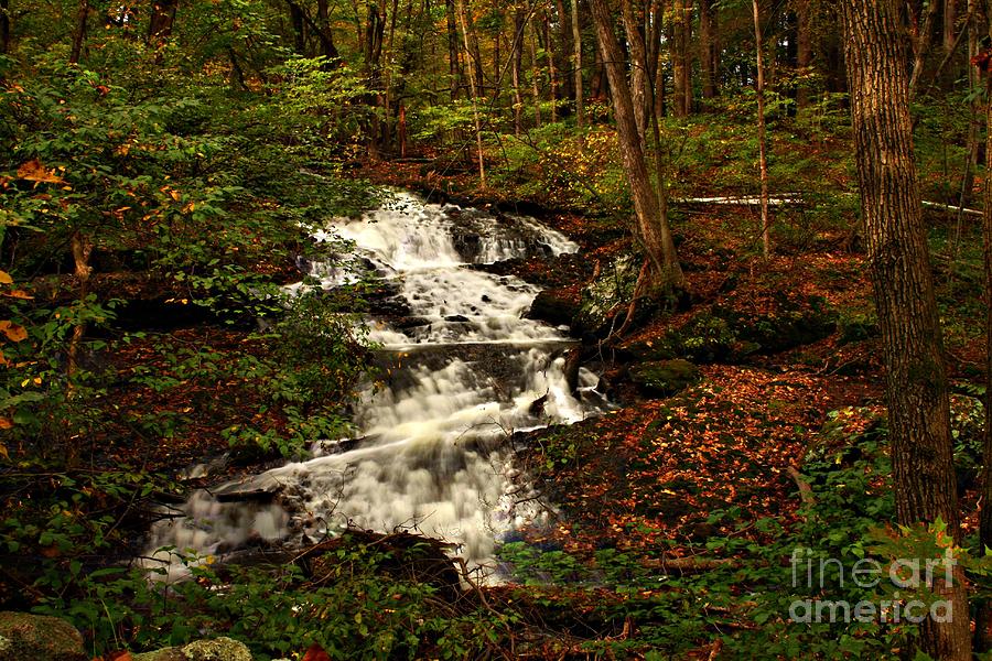 Hidden Waterfall Photograph by Marcia Lee Jones