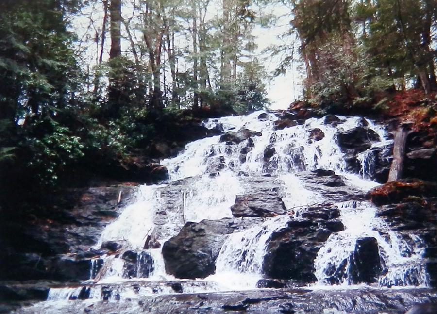 Hidden Waterfall Georgia Mountain Photograph by Belinda Lee