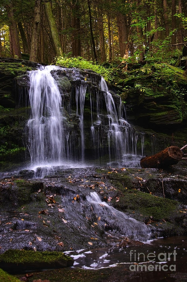 Hidden Waterfalls of Wayne County I Photograph by Debra Fedchin