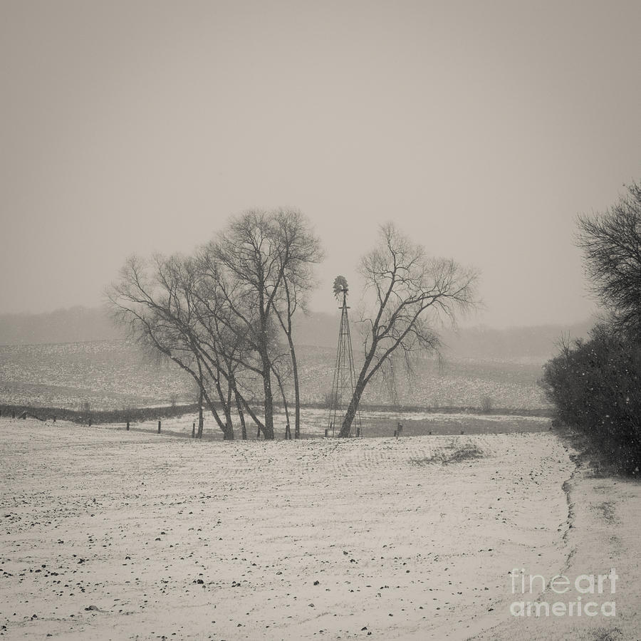 Hidden Windmill by Rural America Scenics Hidden Windmill by Rural America Scenics