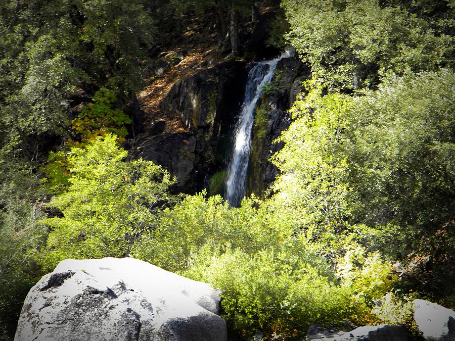 Waterfall Photograph - Hidden Woodland Waterfall by Frank Wilson