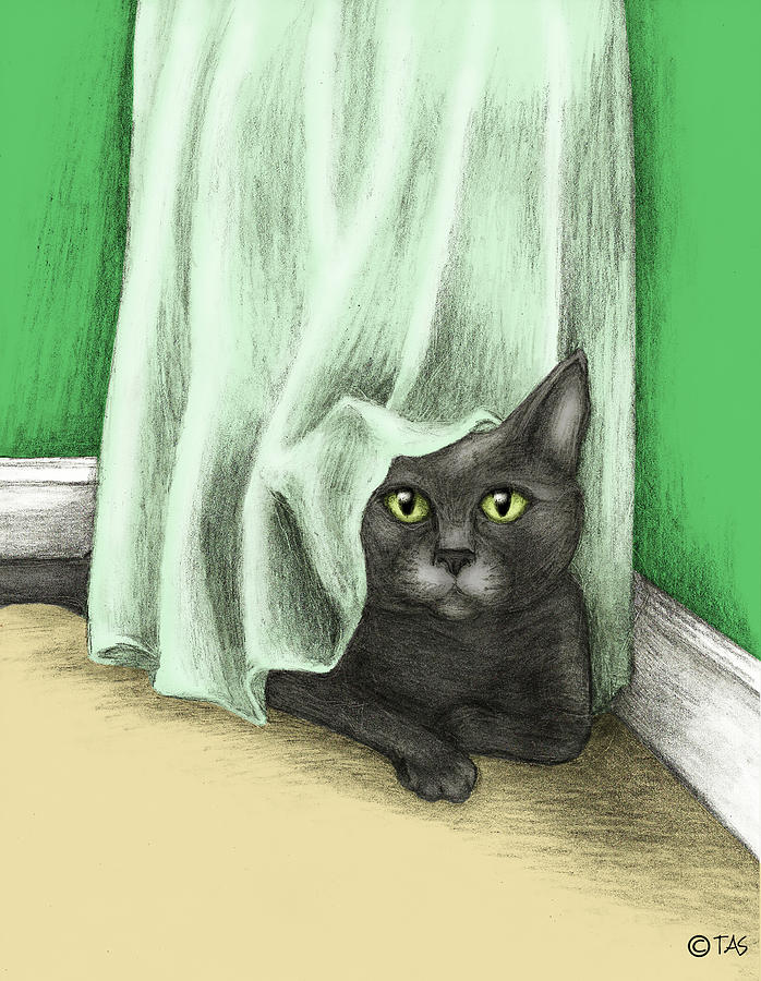 Hiding Cat Drawing