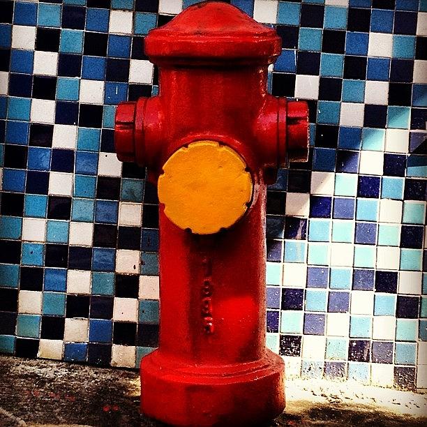 Bold Photograph - Hidrante vermelho by Tatiana Alves