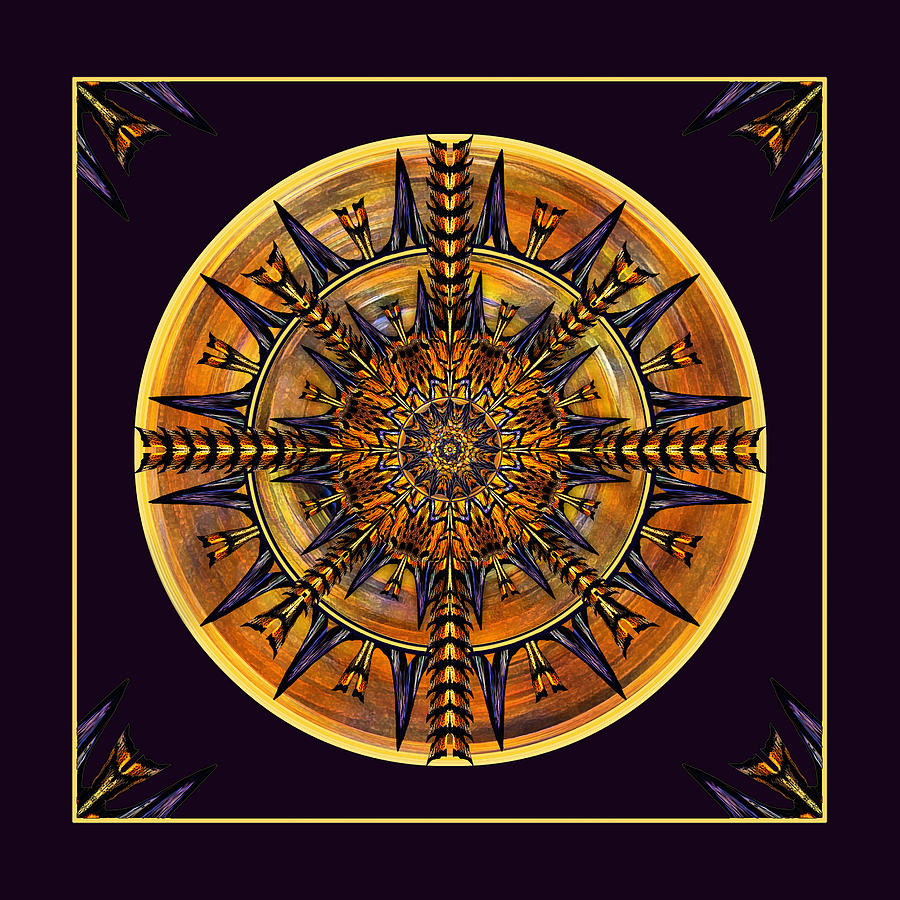 Hieroglyph Moth Mandala 3 Digital Art by Deborah Smith