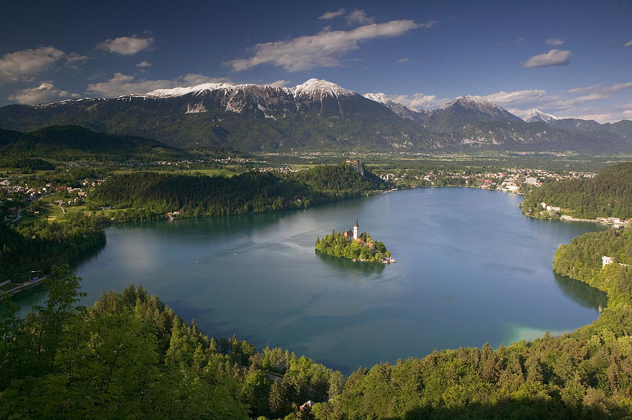 High Angle View Of A Lake, Lake Bled Photograph by Panoramic Images