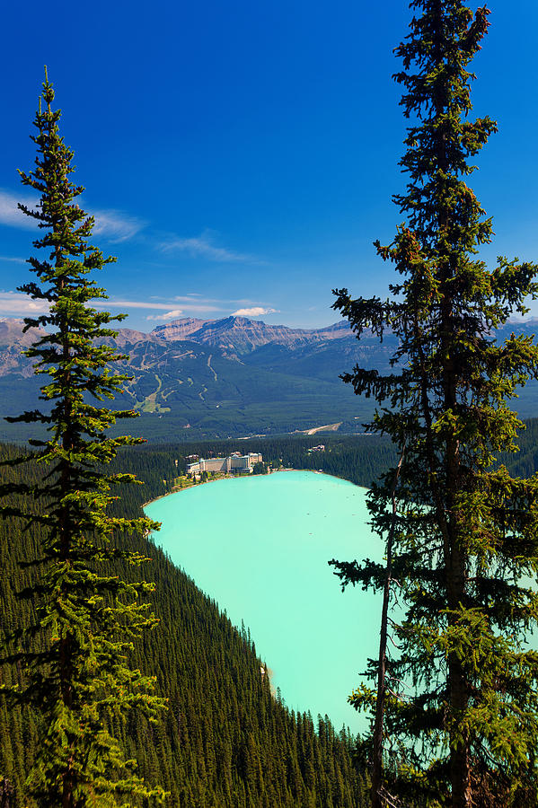 High angle view of Chateau Lake Louise and lake on clear summer day, seen from Plain of Six Glaciers Trail, Canada Photograph by Anna Gorin