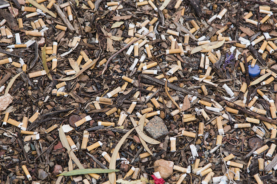 High angle view of cigarette butts on ground Photograph by Tobias Titz