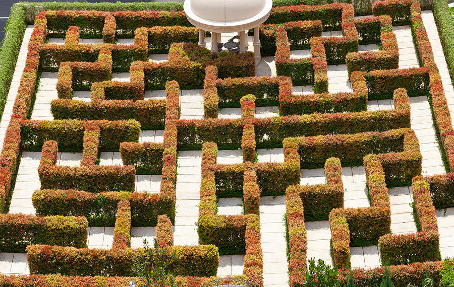 Pattern Photograph - High Angle View Of Maze At Ritz-carlton by Panoramic Images
