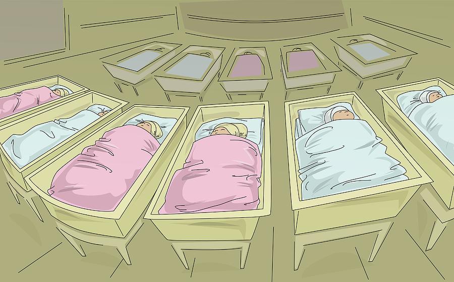 High angle view of newborn babies sleeping in cribs in a hospital nursery Drawing by Art Box Images
