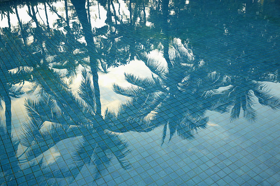 High angle view of palm trees reflecting in swimming pool Photograph by Colin Anderson Productions pty ltd