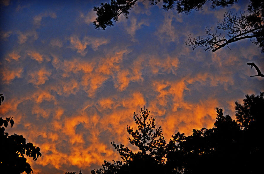 High Clouds at Sunset Photograph by Linda Brown