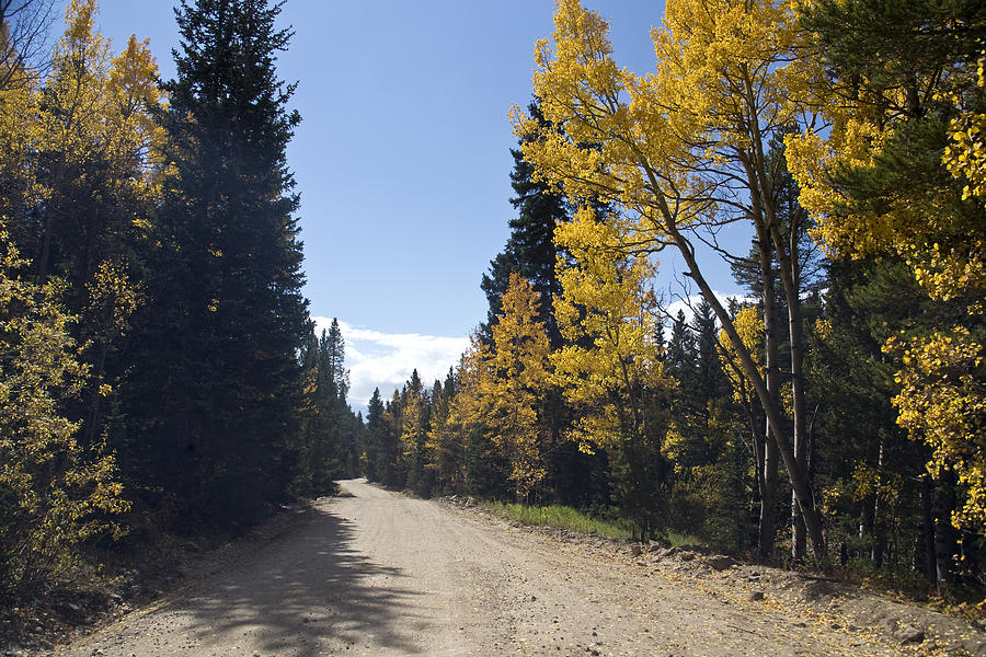 High Country Autumn Dirt Road Photograph by James BO Insogna