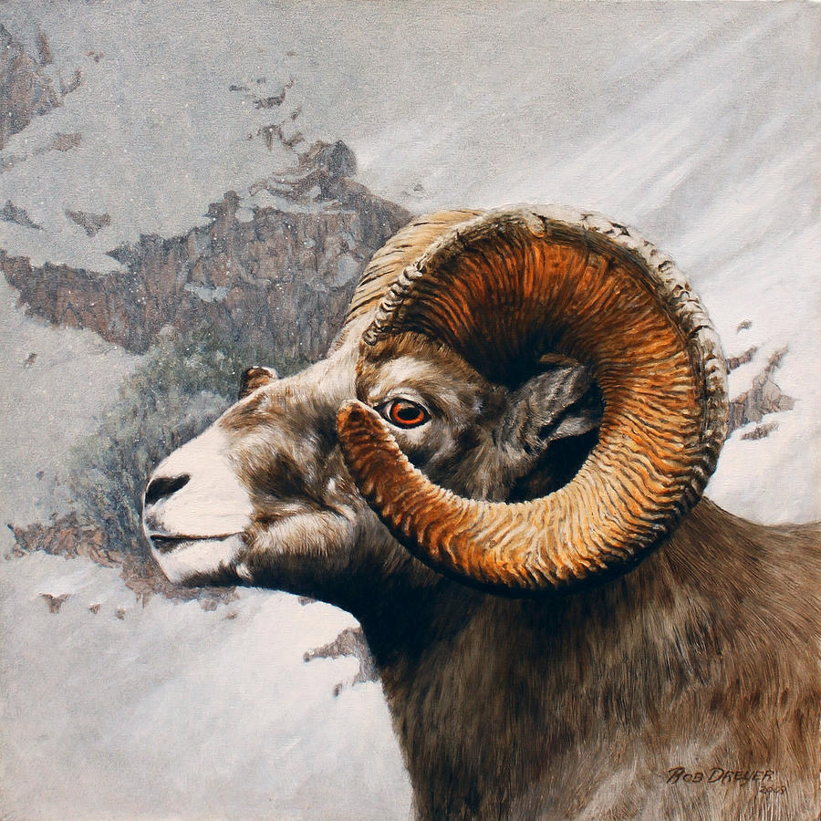 Sheep Painting - High Country Bighorn by Dreyer Wildlife Print Collections 