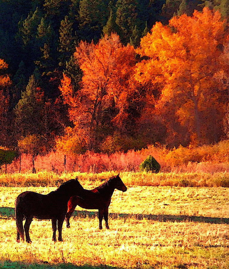 High Country Horses in October Pasture Photograph by Anastasia Savage Ealy