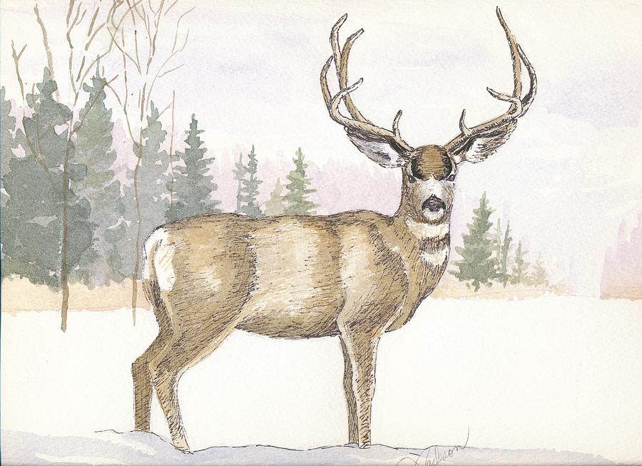 High Country Mule Deer Painting