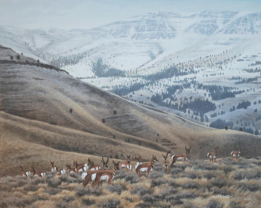 Mountain Painting - High Country Pronghorn by Peter Mathios
