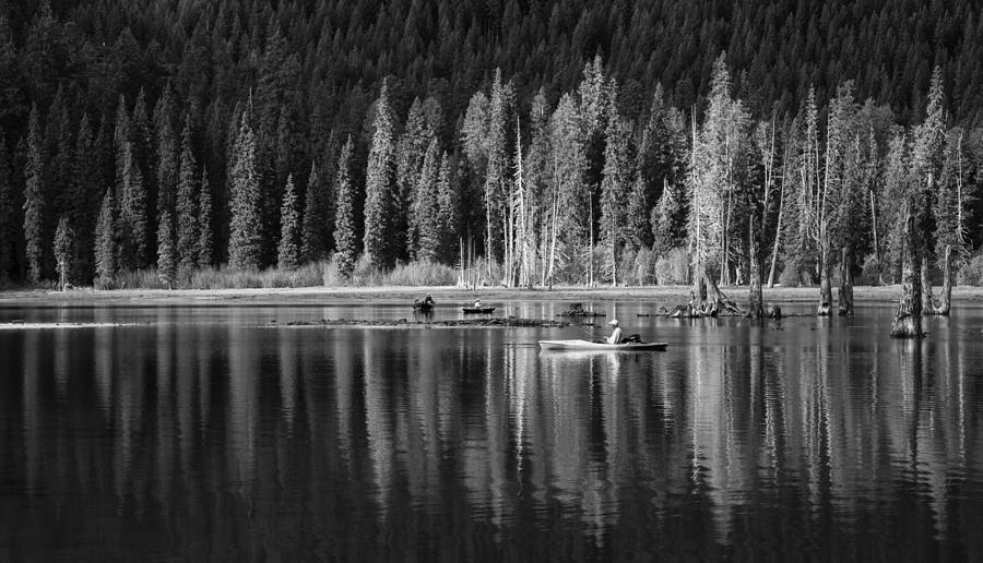 Tree Photograph - High Country Tranquility by Angie Vogel