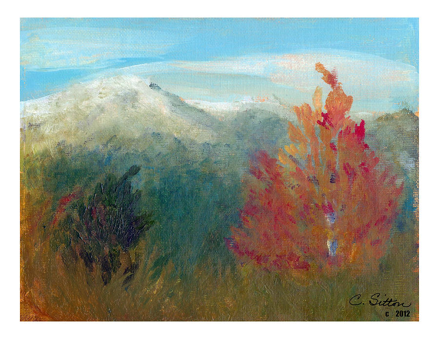 High Country View Painting by C Sitton