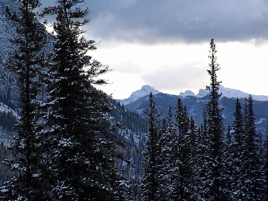 Banff National Park Photograph - High Country Winter by George Cousins
