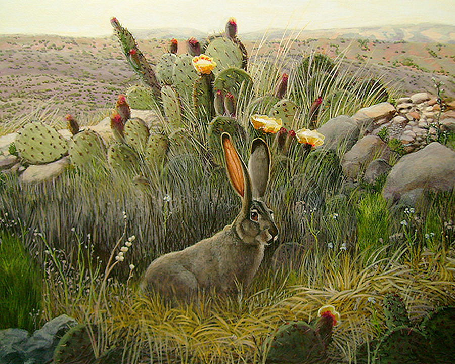 High Desert Jack Rabbit Painting by Charles Wallis