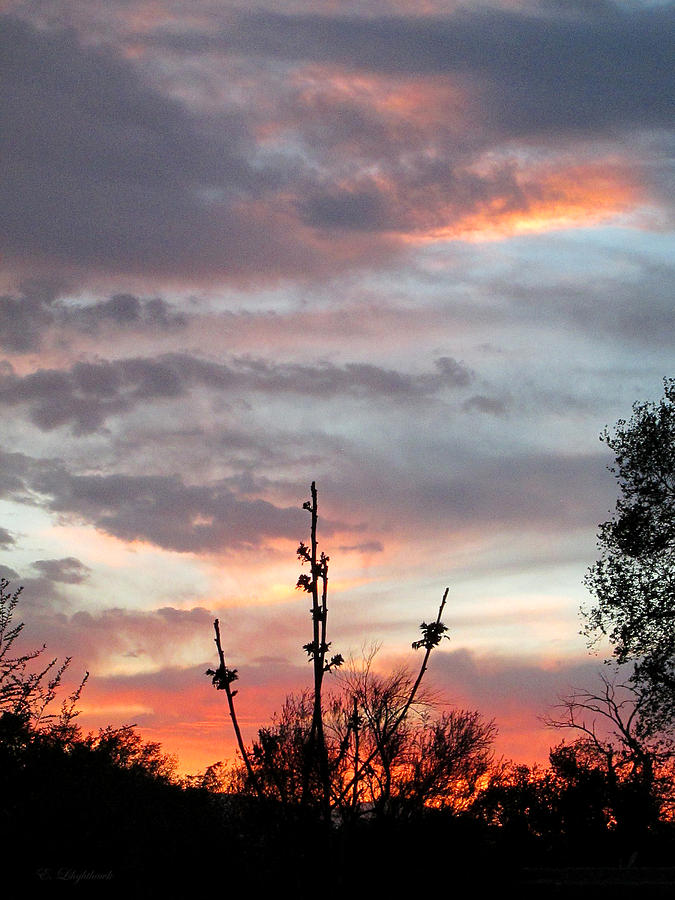 High Desert Sunset Silhouette Photograph by Eileen Lighthawk